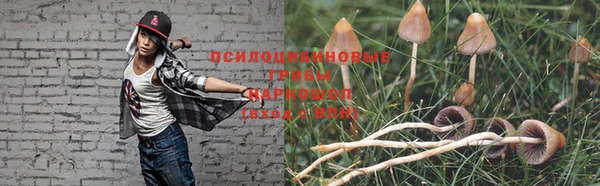 ГАЛЛЮЦИНОГЕННЫЕ ГРИБЫ Покачи
