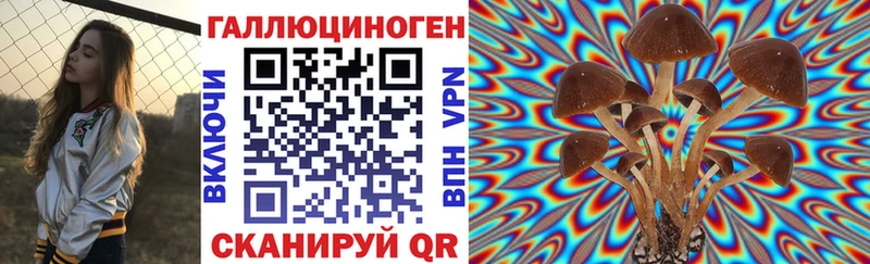 закладка  Приволжск  Псилоцибиновые грибы Cubensis 